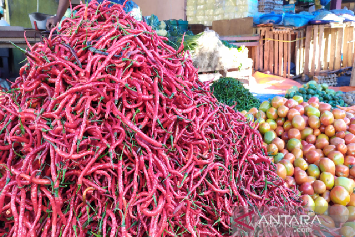 Harga cabai merah di Aceh tembus Rp100 ribu per kilogram