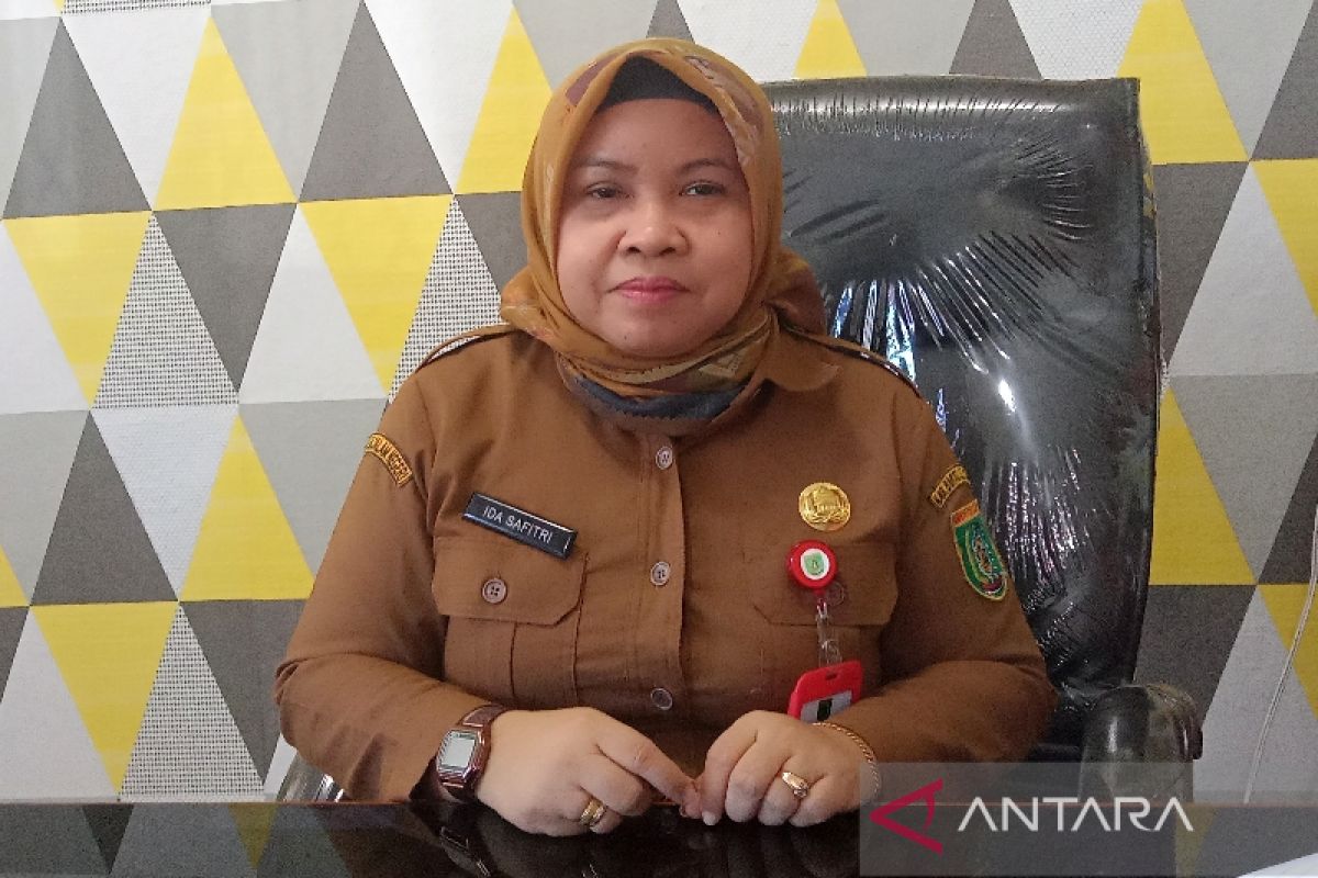 DKPPP Barsel perketat pemeriksaan sapi dari luar daerah