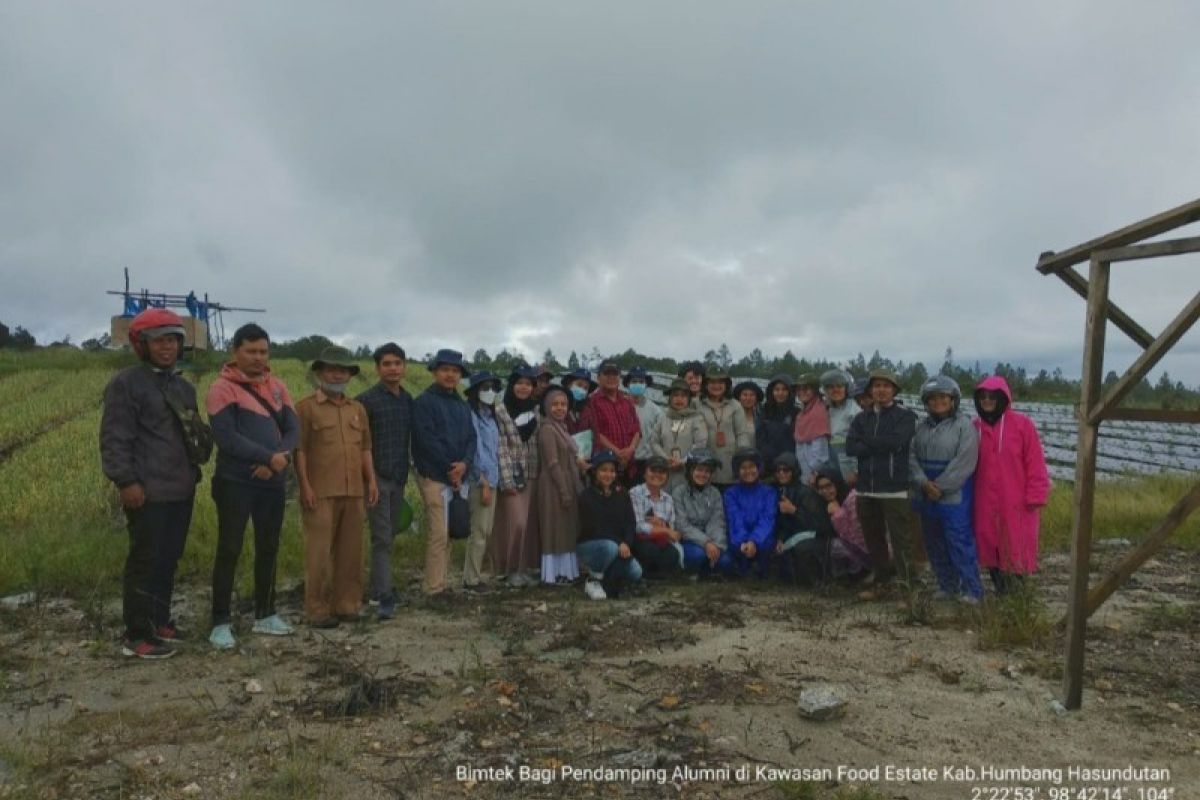 Kementan optimalkan pendampingan di lokasi Food Estate Humbahas