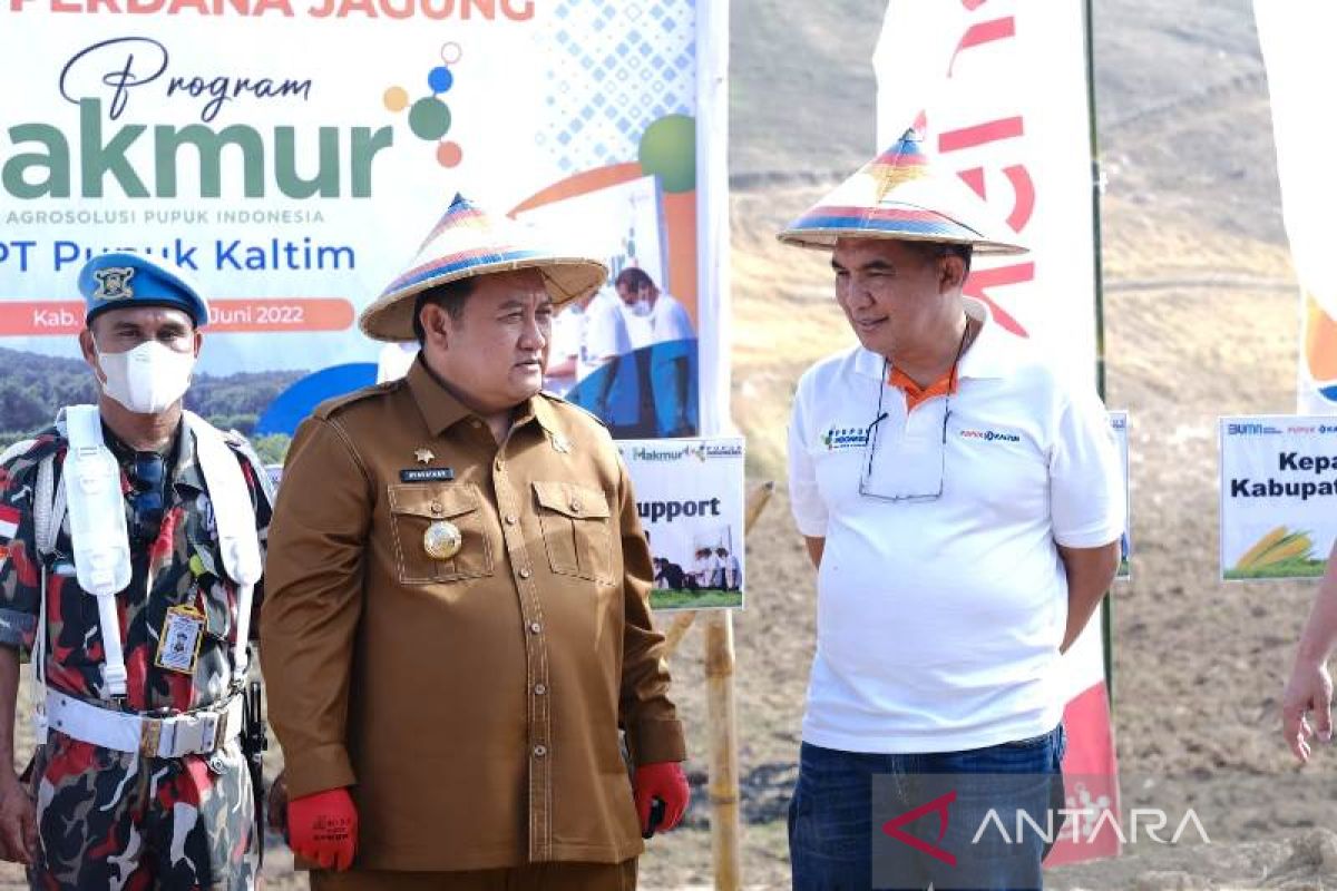 PKT tanam jagung 50 hektare di Gorontalo perluasan Program Makmur