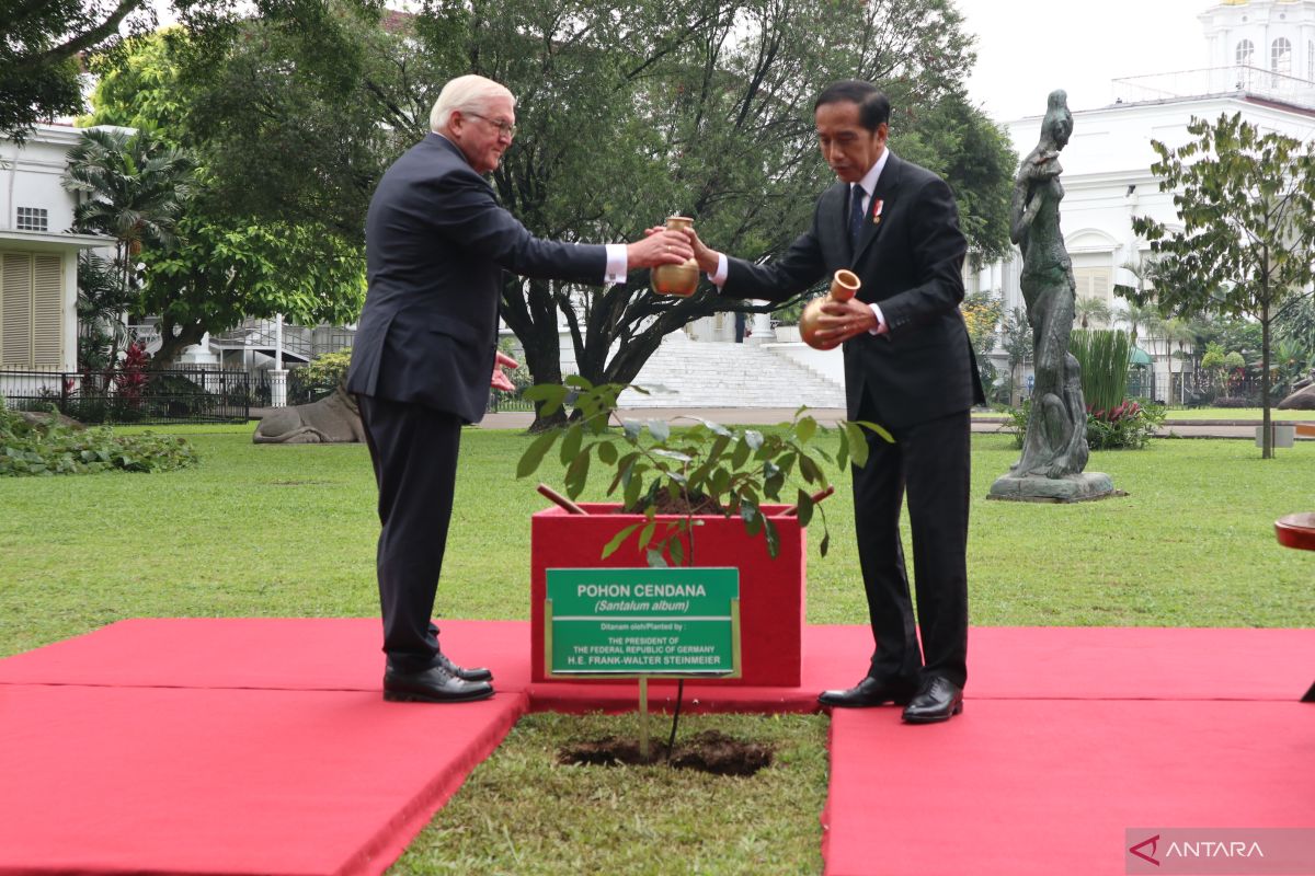 Steinmeier paid visit to commemorate Indonesia-Germany ties:  Jokowi