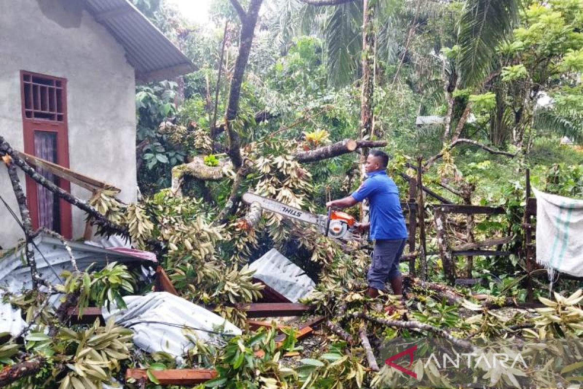 BPBD Nagan Raya bersihkan pohon tumbang di halaman rumah warga