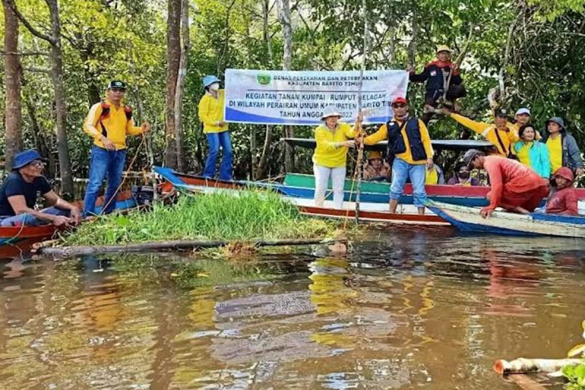 Jaga kelestarian ikan, Pemkab Bartim tanam rumput gelagah