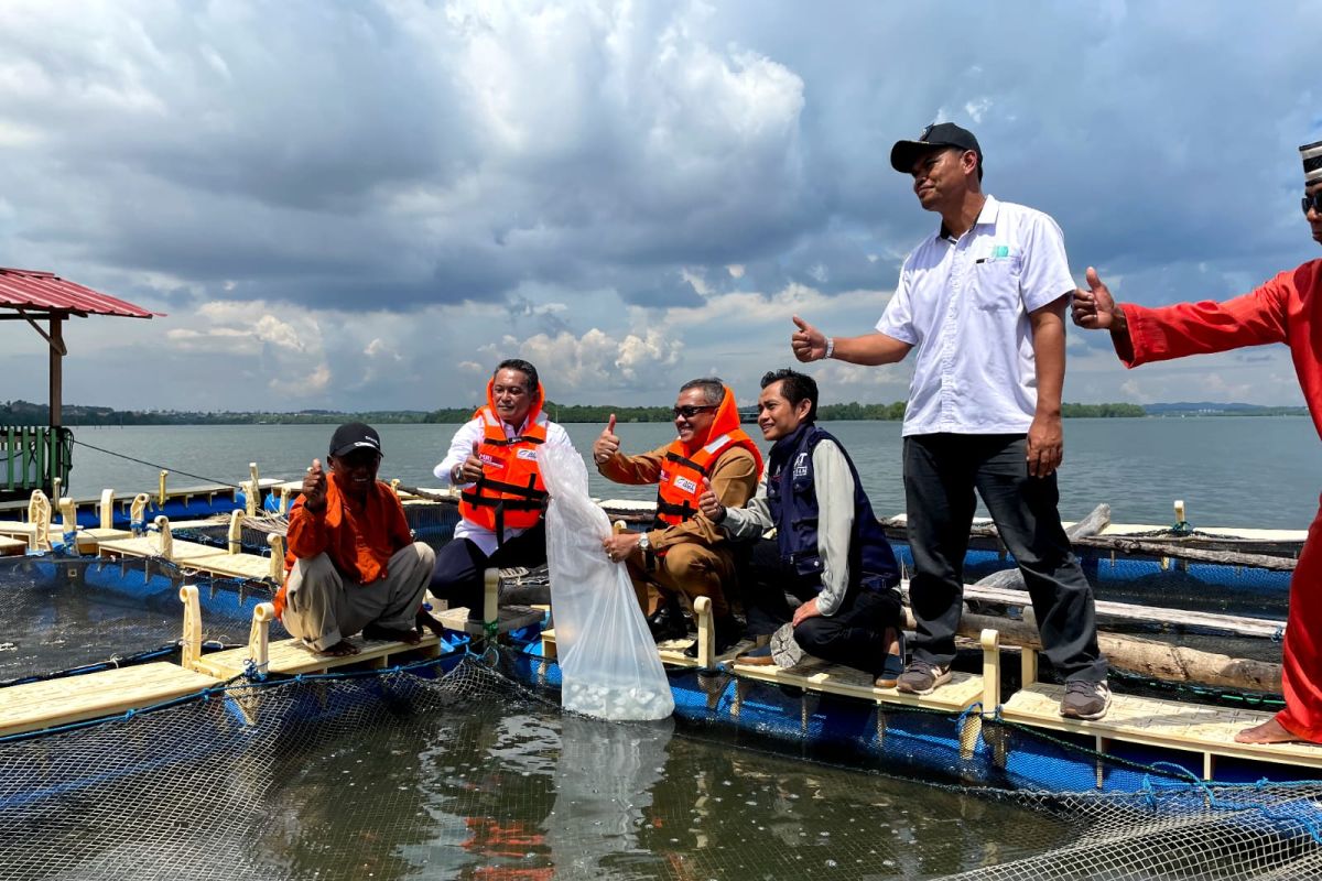Pertamina bagikan 4.000 bibit ikan untuk nelayan Batam