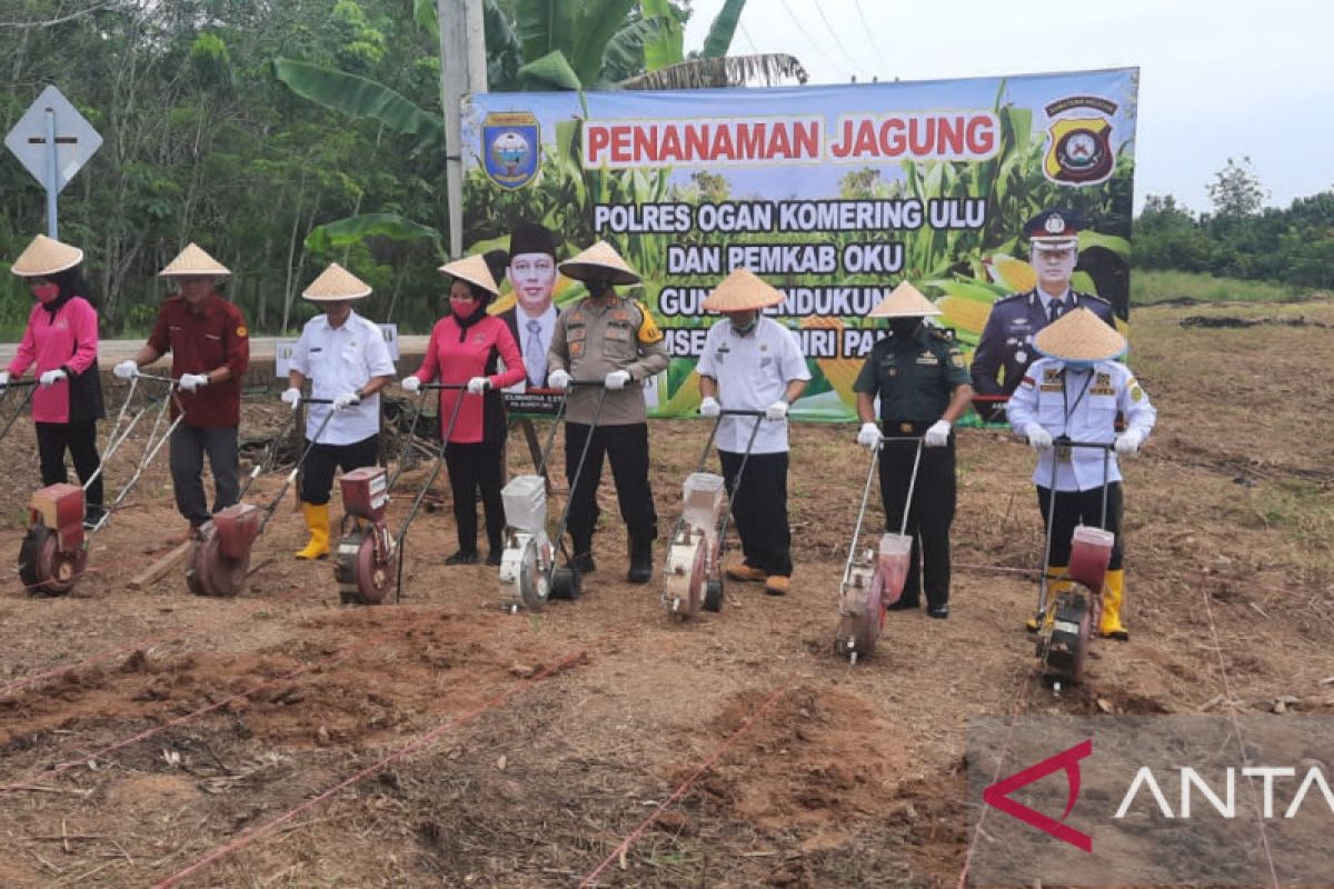 Wujudkan Program Sumsel Mandiri Pangan,  Pemkab OKU tanam jagung