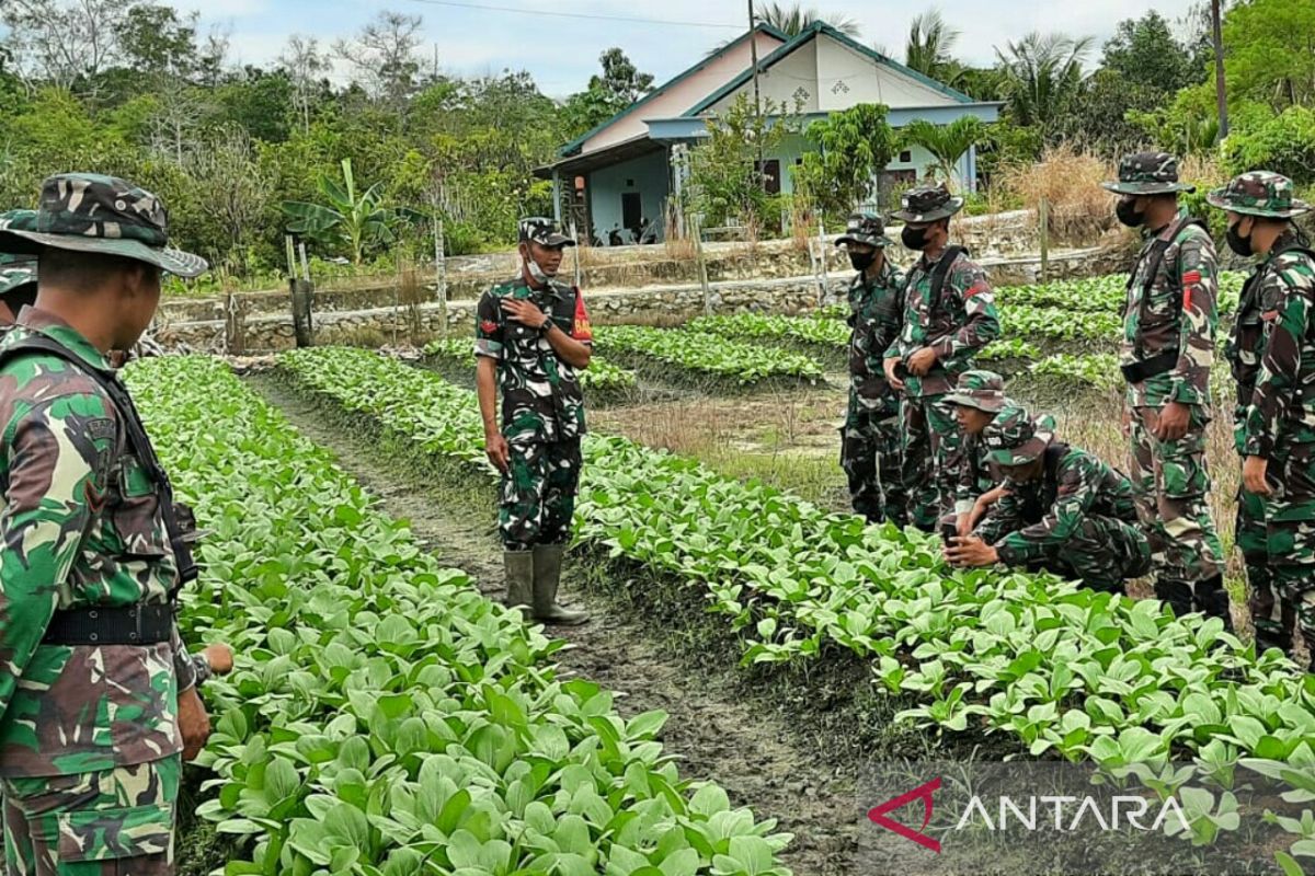 Babinsa di Kaltim jadi rujukan belajar pertanian