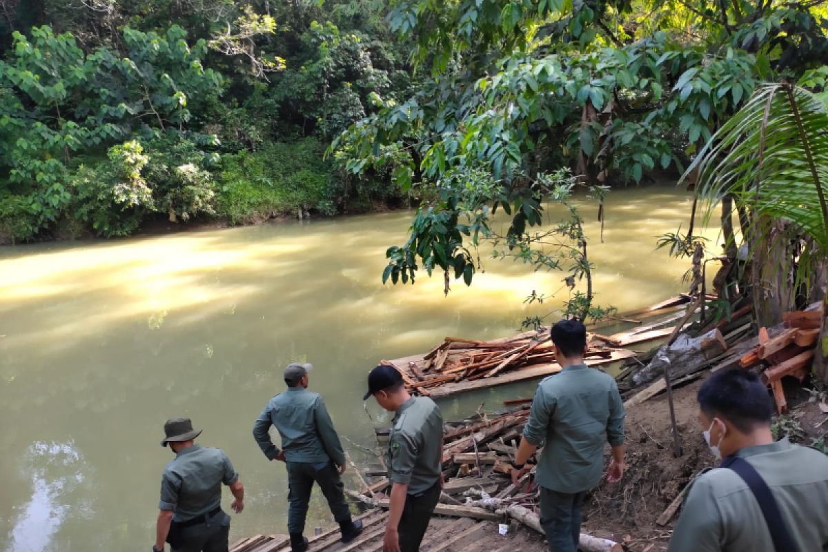 KPH Tabalong amankan kayu ilegal di Desa Binjai