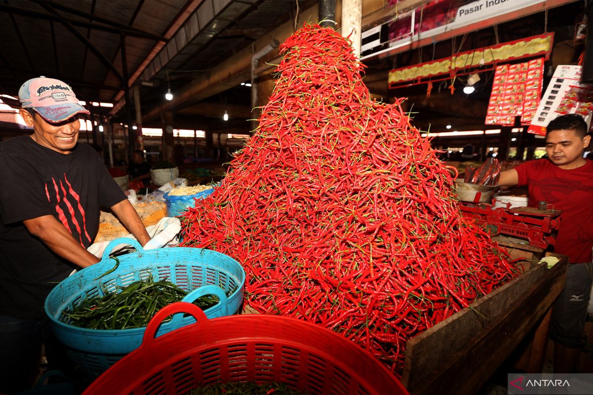 Meski masih tinggi, harga cabai merah di Banda Aceh mulai turun