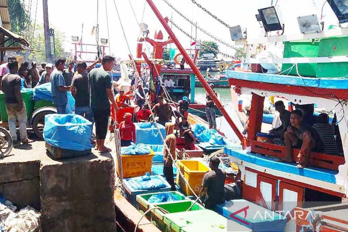 Tangkapan ikan nelayan di Lhokseumawe turun