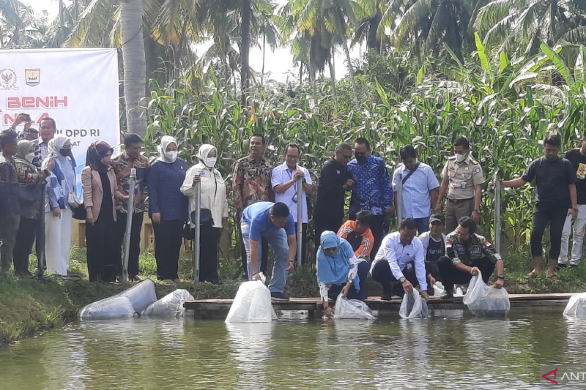 Komite II DPD RI sebar 5.000 benih ikan nila di Pariaman