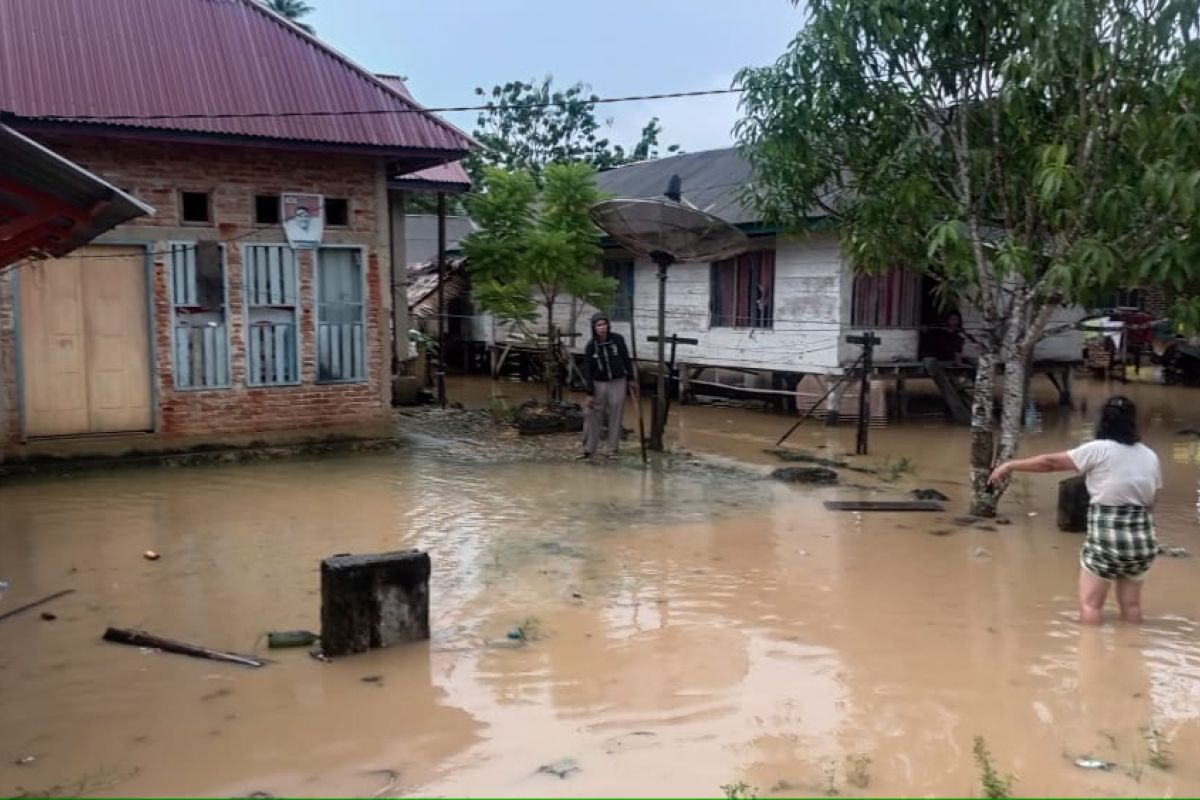 Banjir di Buton akibatkan 132 rumah terendam air