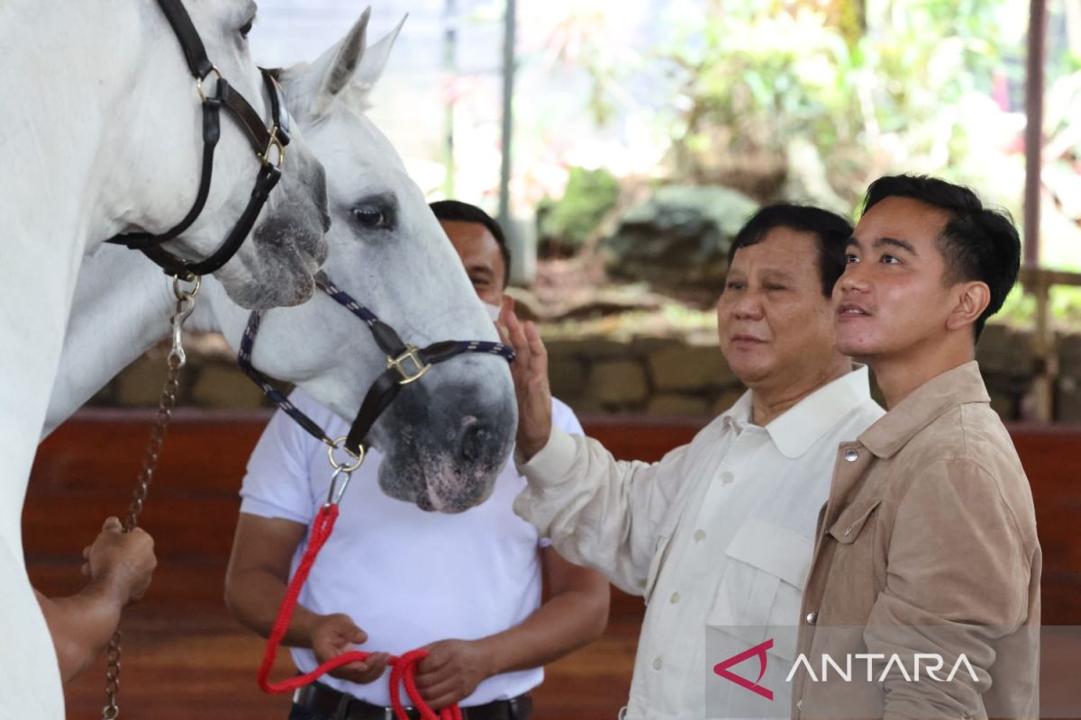 Prabowo terlihat senang saat ajari Gibran berkuda