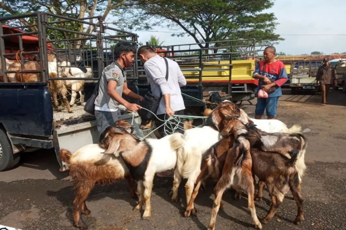 DPKH Gunung Kidul imbau pedagang melengkapi hewan ternak dengan SKKH