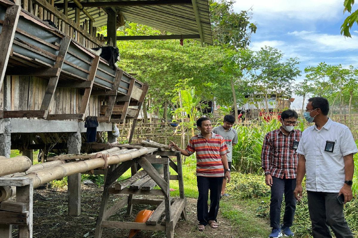 PLN berikan bantuan pengolahan limbah RPH