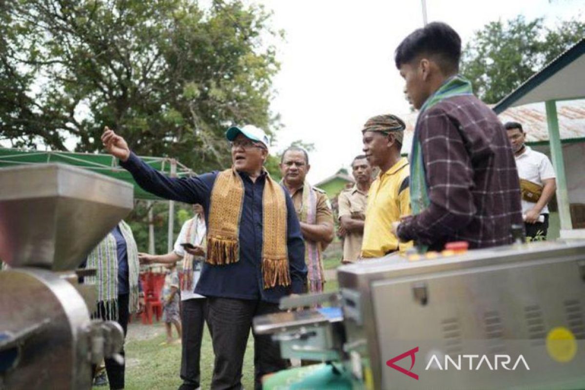 PLN NTT bantu mesin pengolahan kelor untuk petani TTU