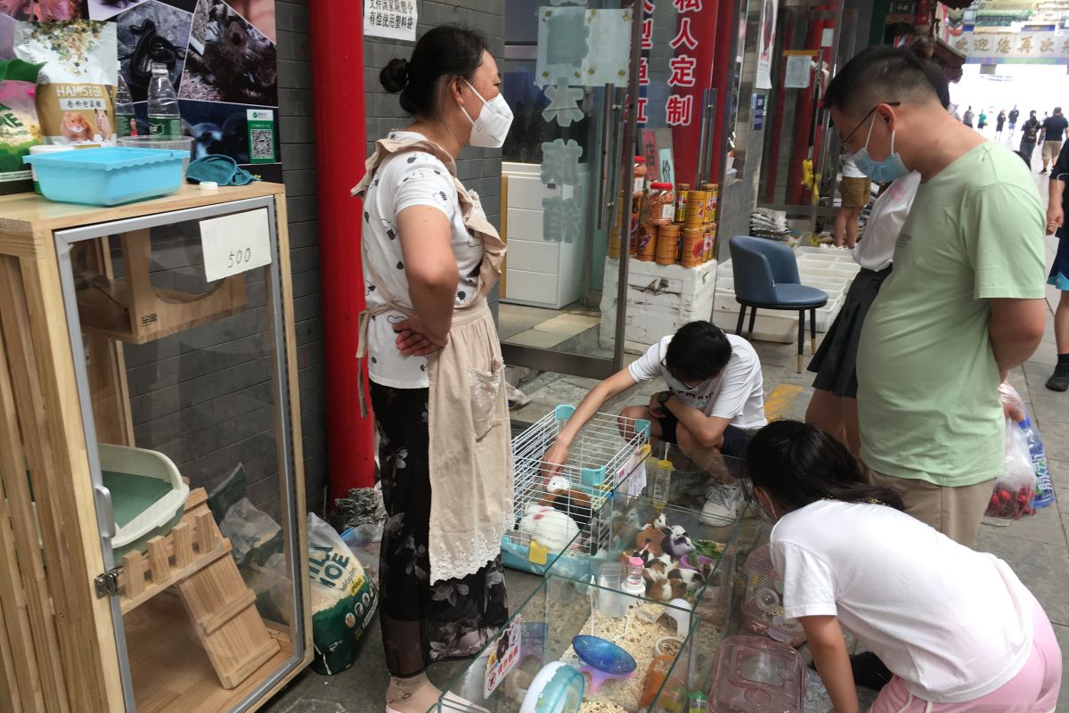 Korea Selatan laporkan dua kasus pertama cacar monyet