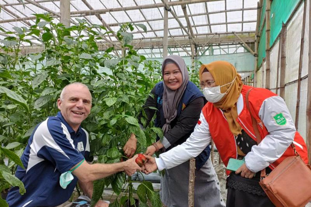 IFAD apresiasi keberhasilan Kementan jalankan program regenerasi petani