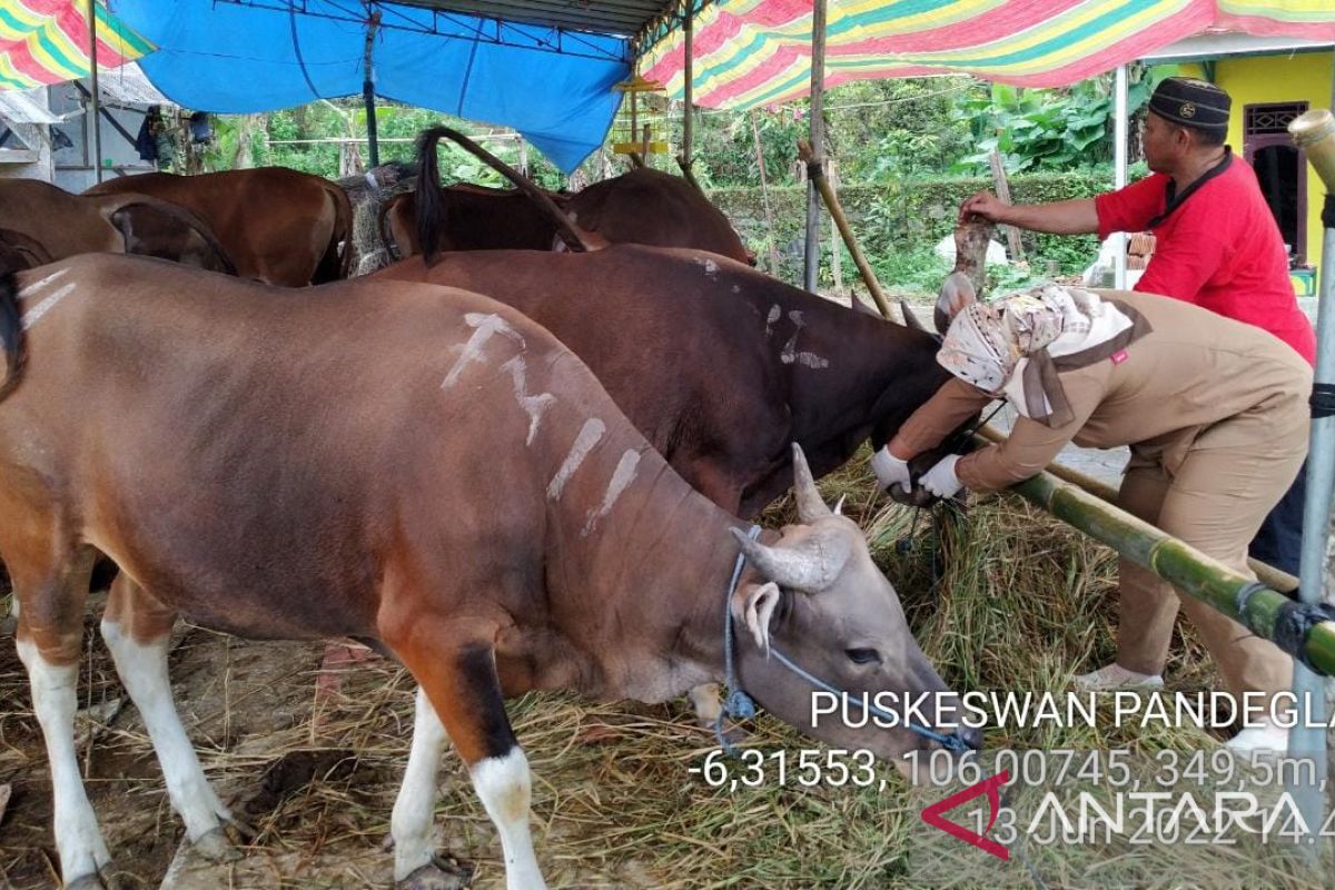 Qurbani animal availability in East Java safe, governor assures