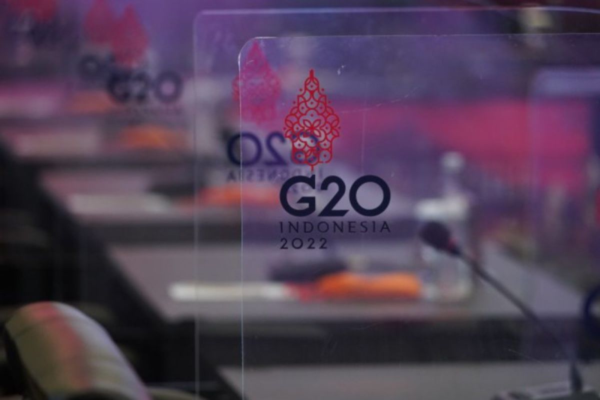 Peneliti: Momentum G20 jadikan RI negara besar