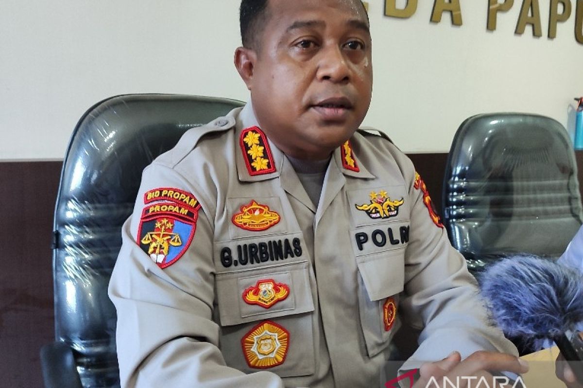 Polda Papua periksa Danki D Brimob Wamena terkait Napua