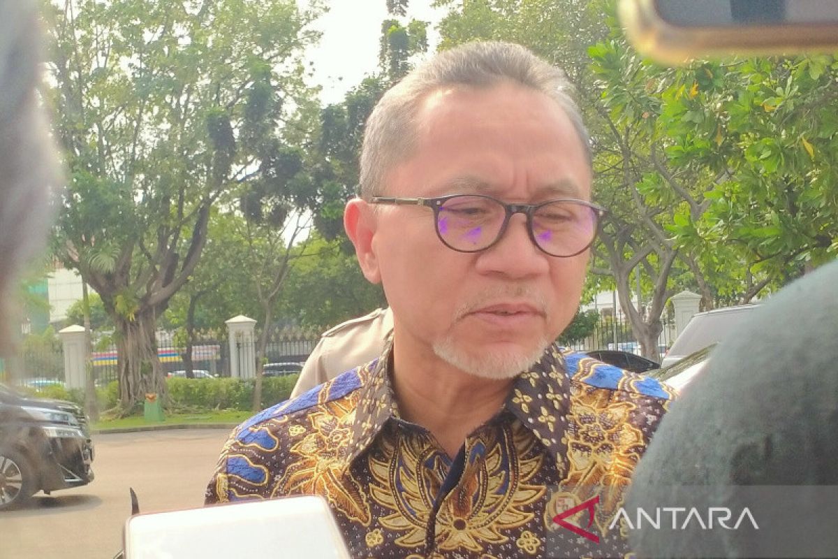 Mendag Zulhas tepis anggapan persoalan minyak goreng karena ada mafia