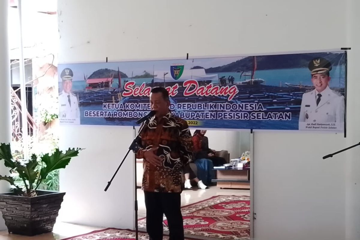 Bupati Pesisir Selatan ungkap strategi soal ekonomi nelayan ke Komite II DPD-RI