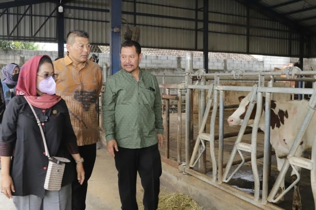 Tiga ratus dosis vaksin PMK disalurkan untuk peternak sapi di Malang