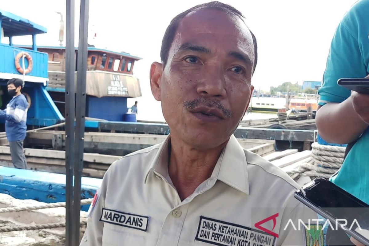 DKPP Batam temukan 62 ekor kambing ilegal di pasaran