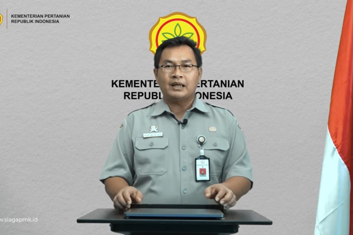 Kementan : Lelang jabatan eselon ramai peminat dari luar kementerian