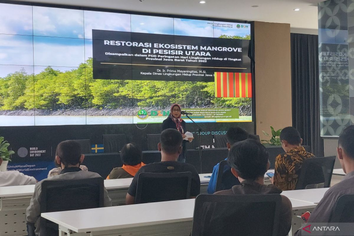 90 persen hutan mangrove di Pantura Jabar rusak