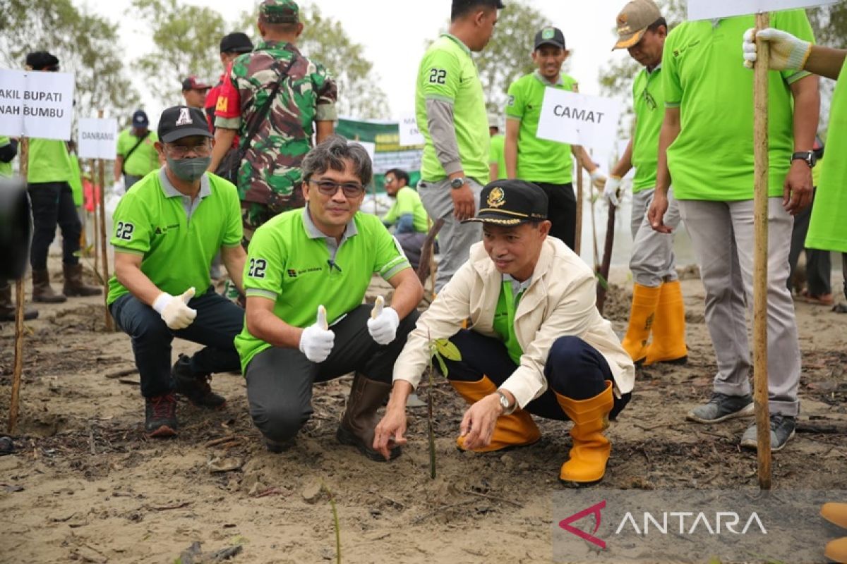 DLH Tanah Bumbu tanam ribuan pohon atasi abrasi