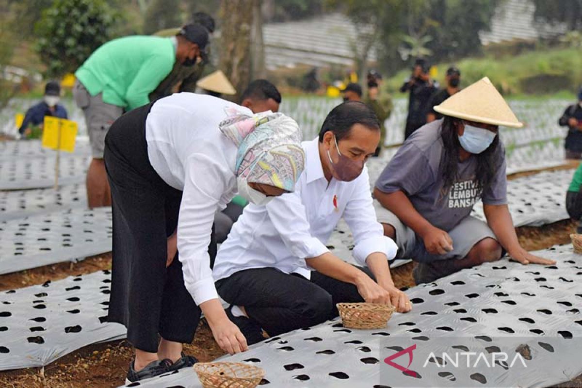 Guru Besar IPB paparkan empat pilar untuk muluskan "food estate"