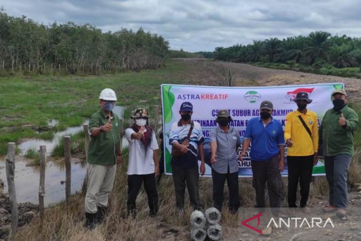 CSR PT SAM untuk kelompok peternak kerbau rawa Daha Barat