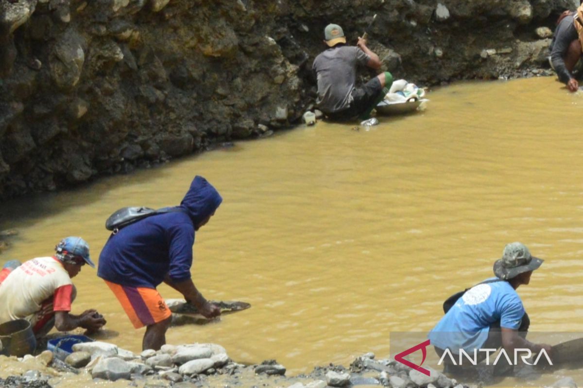 Pemilik ulayat dukung penertiban tambang emas ilegal di Manokwari