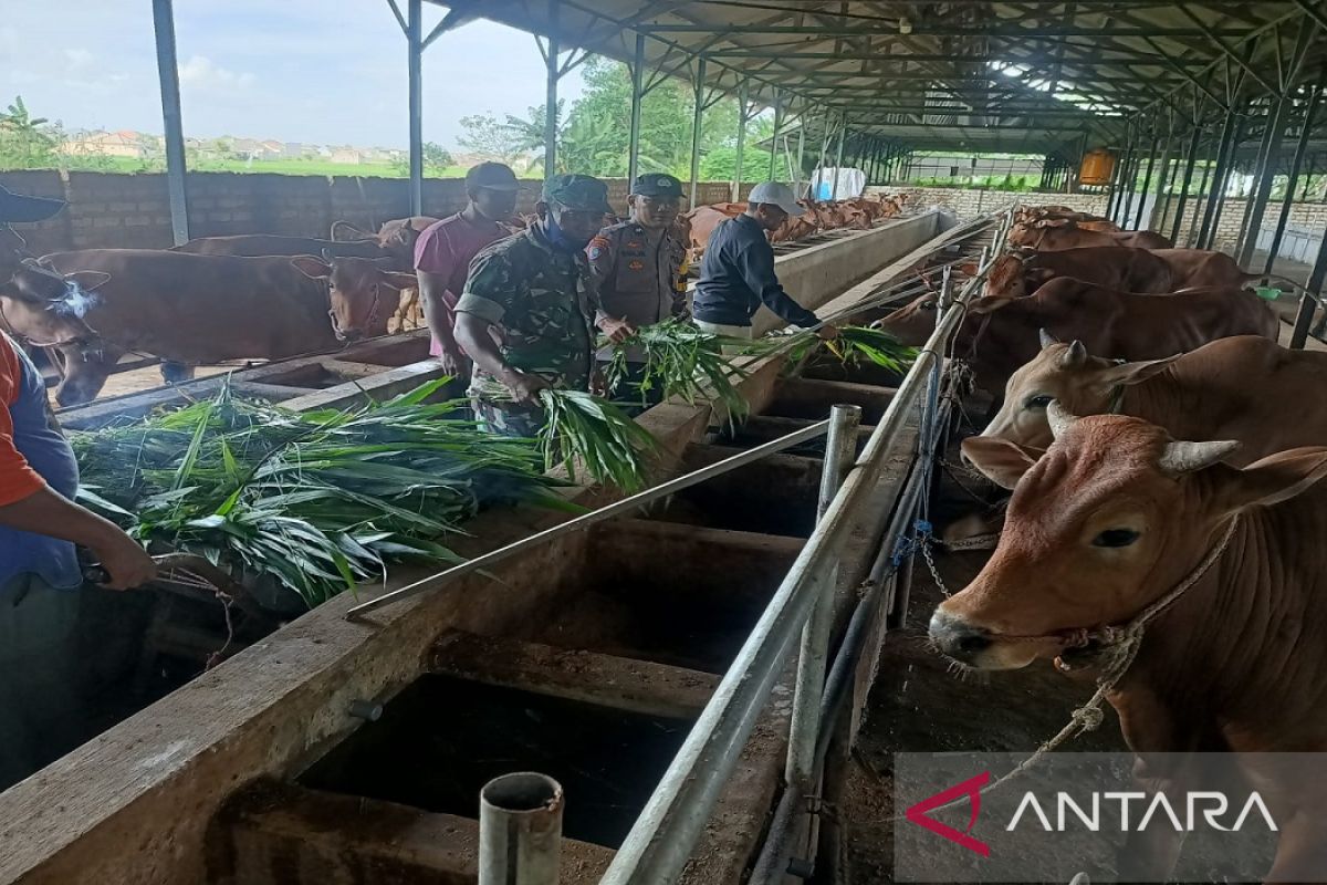 Tim gabungan gencarkan sosialisasi pencegahan PMK kepada peternak di Sumenep
