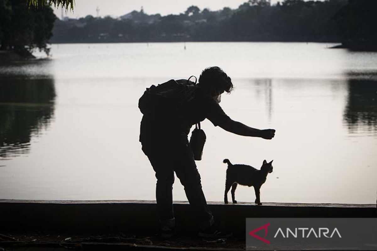 5 rekomendasi wisata danau yang cocok untuk healing di sekitar Jakarta