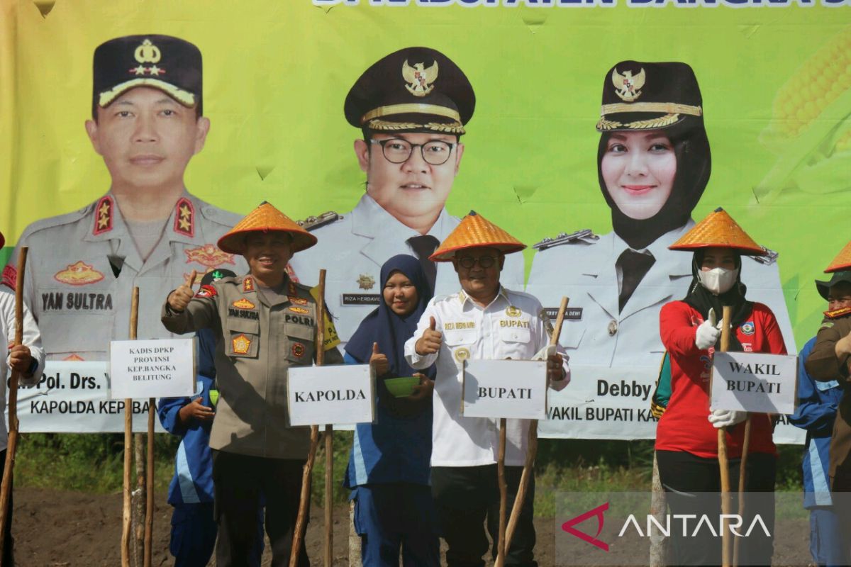 Kapolda Babel tanam jagung perdana di kawasan perkotaan baru