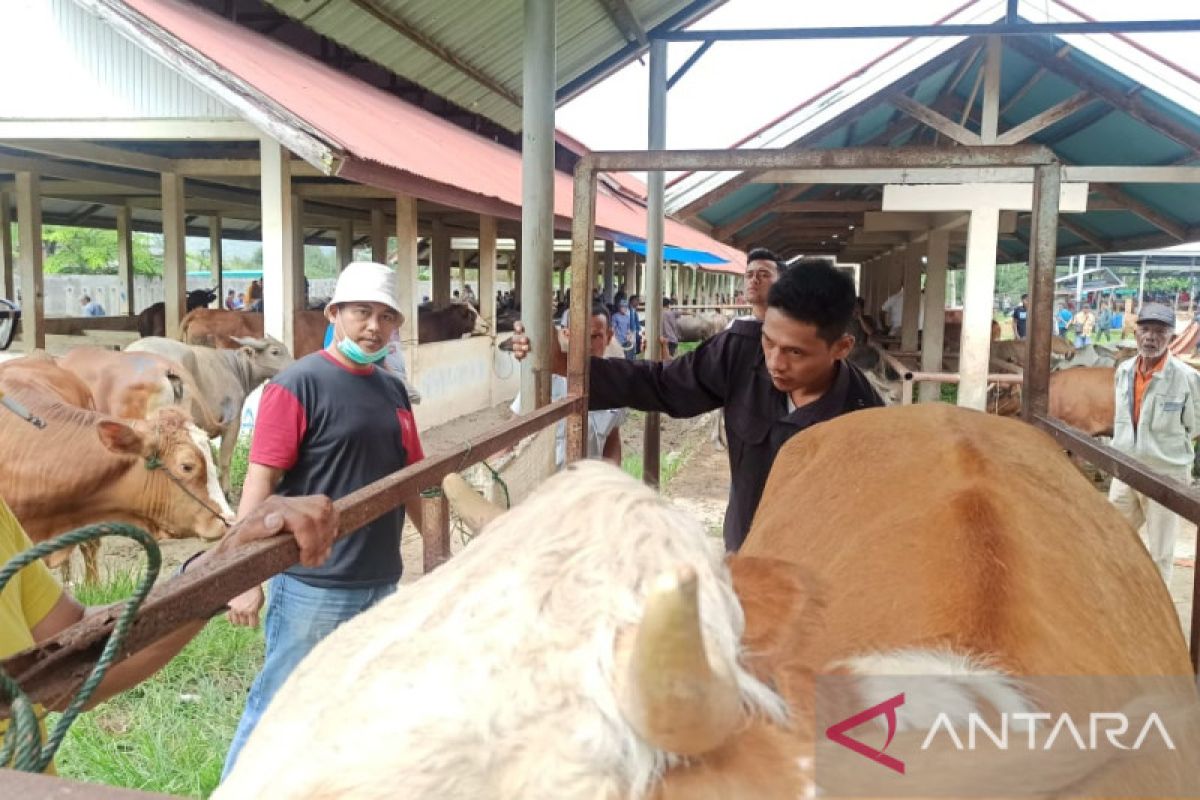 Pemkot Payakumbuh sosialisasikan larangan pemotongan sapi produktif