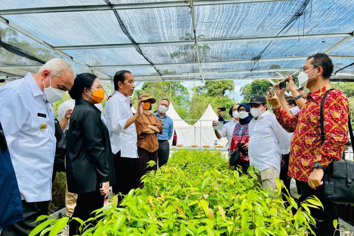 Mentawir Nursery shows seriousness in protecting environment: Jokowi