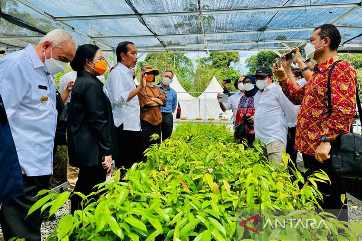 Jokowi: Persemaian Mentawir wujud keseriusan menata lingkungan