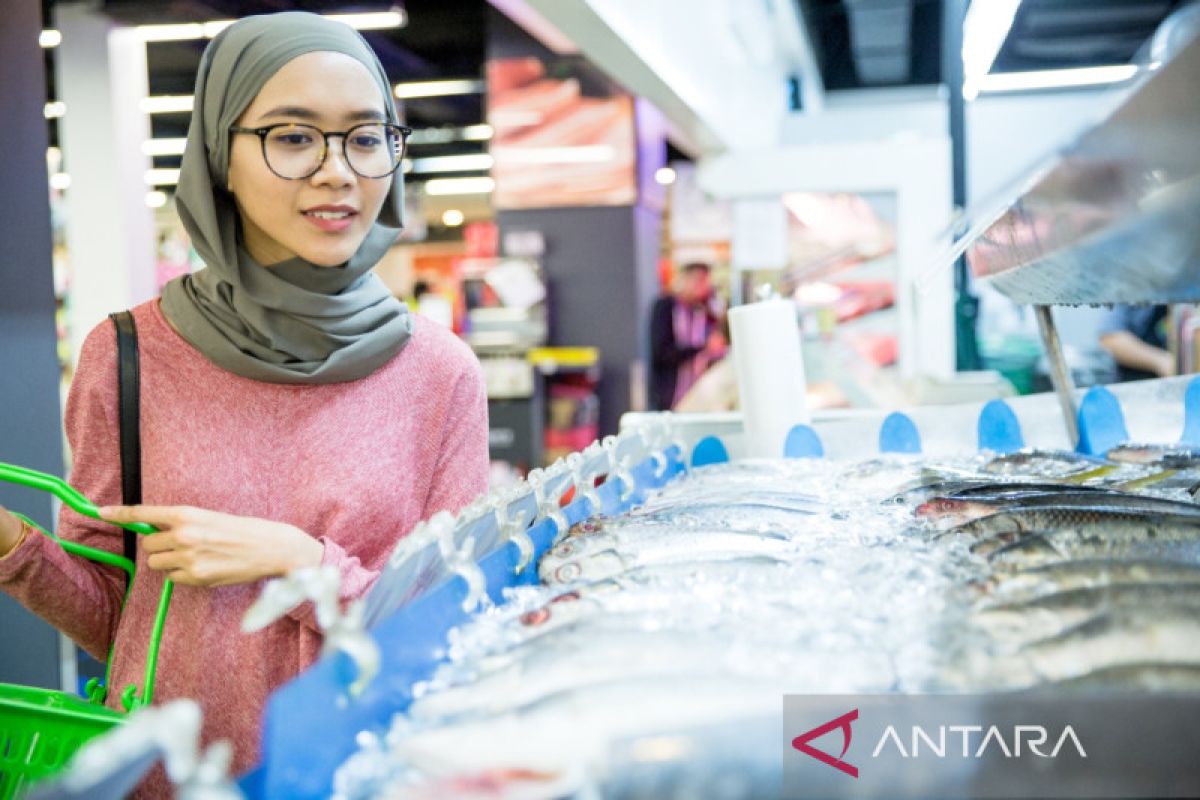 Studi MSC: Terjadi peningkatan kesadaran publik soal masa depan lautan