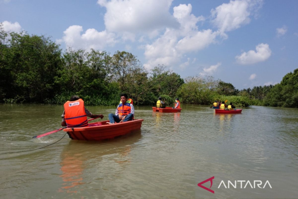 Kawasan Edu-Ekowisata Mangrove Lembur Patikang bangkitkan ekonomi warga lewat pembibitan mangrove