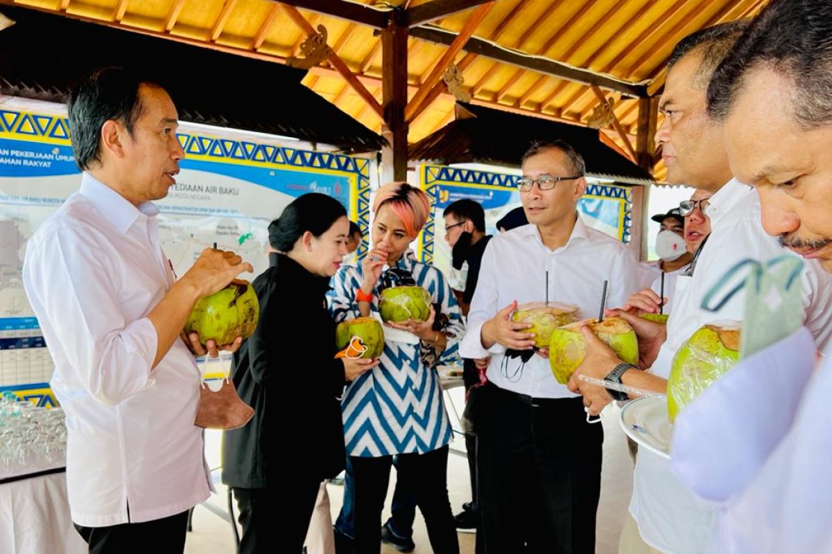 Jokowi dan Puan nikmati kelapa muda di Bendungan Sepaku