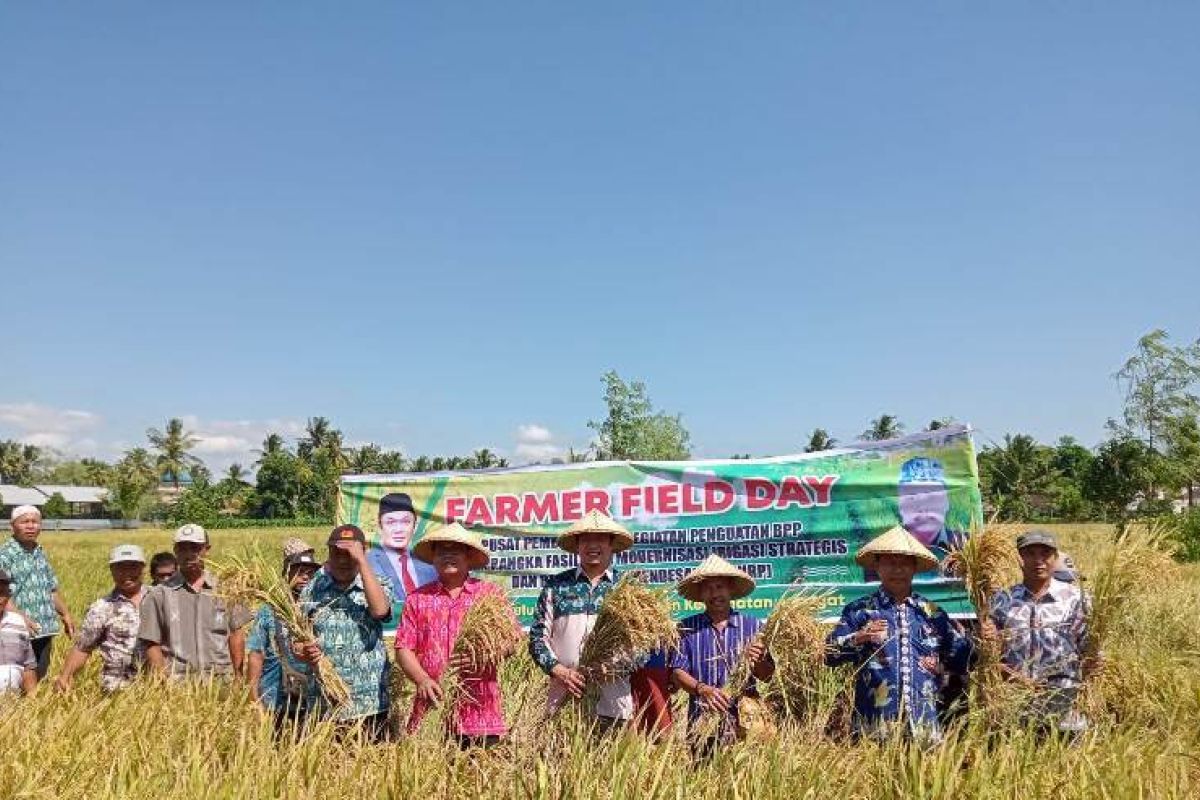 Kementan kuatkan fungsi BPP Kostratani melalui Temu Lapang Petani