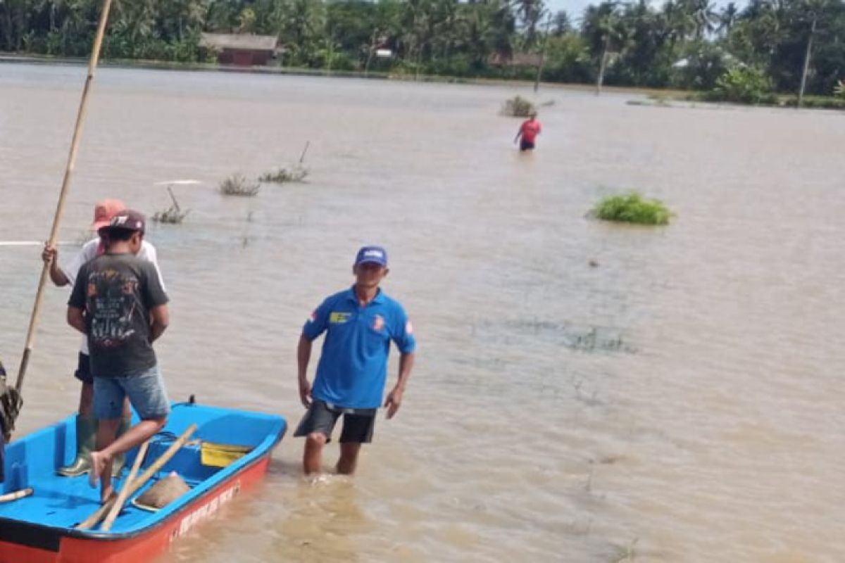 Pemkab Banyumas ajak petani ikut asuransi pertanian secara mandiri