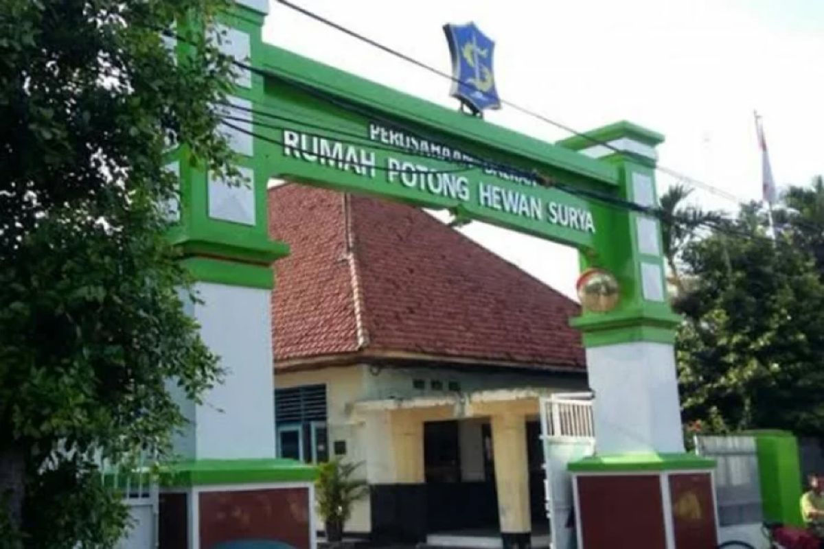 DPRD Surabaya soroti penyebab kerugian rumah potong hewan
