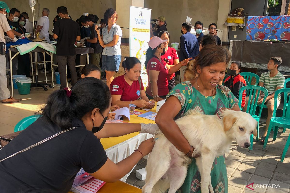 Distan Denpasar lakukan vaksinasi anjing cegah rabies