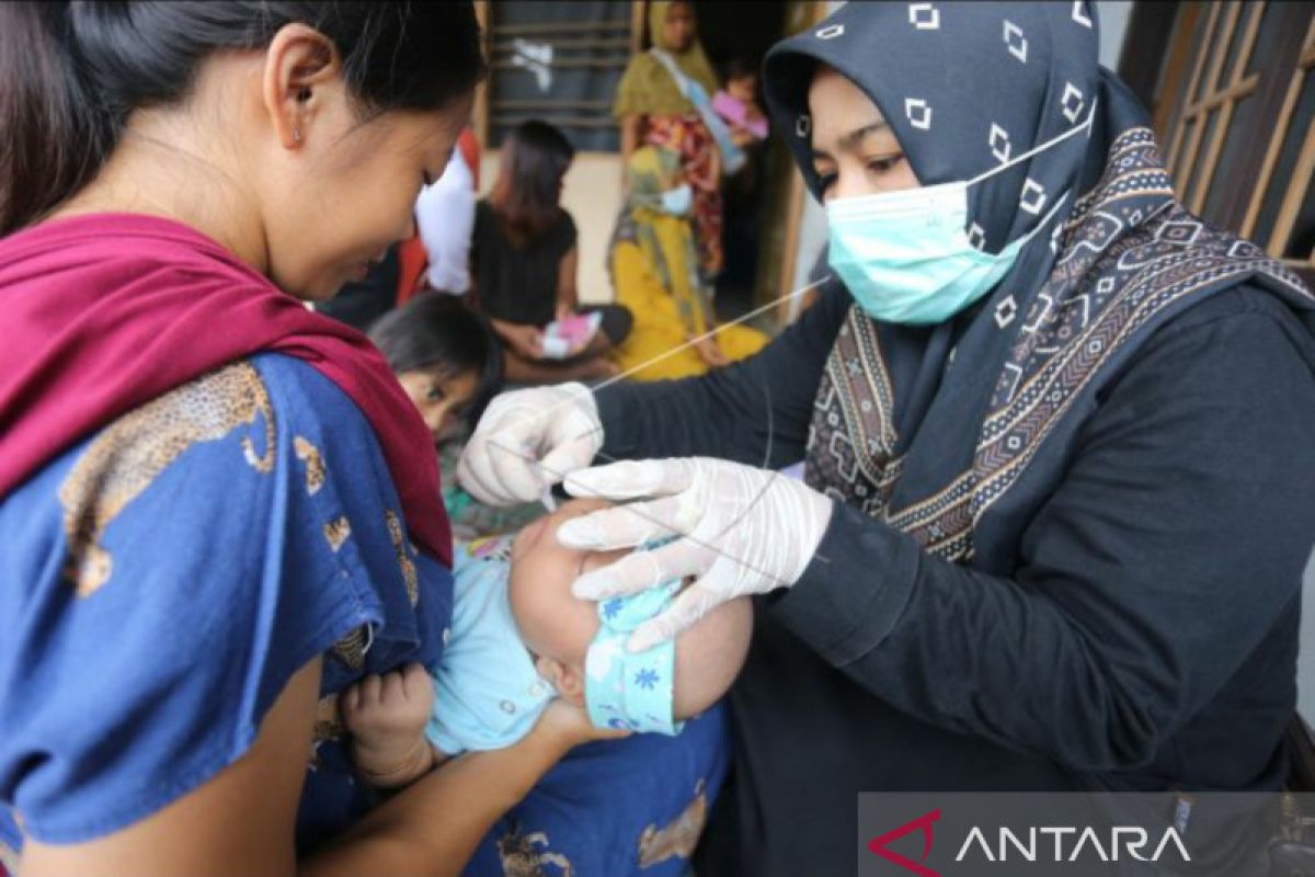 IBI upayakan semua bidan honorer di Sulteng diangkat jadi PPPK