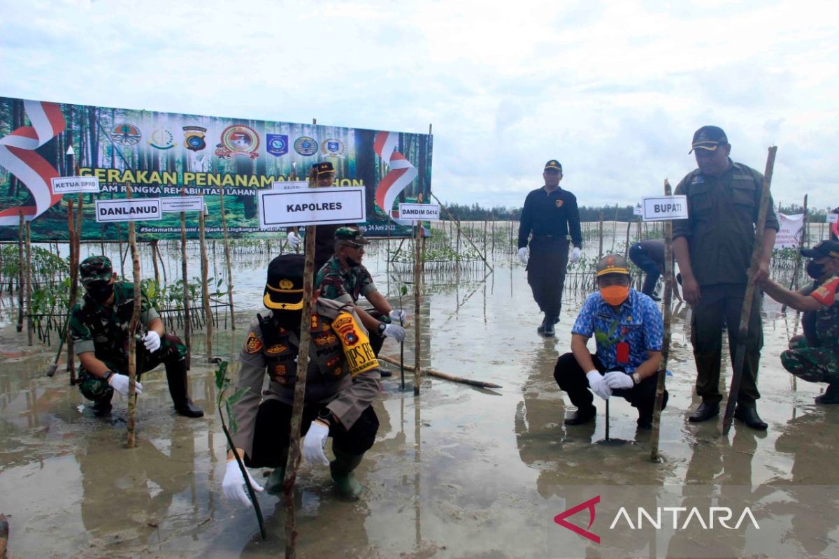 Polres Belitung tanam 10.000 bibit mangrove di lahan bekas tambang