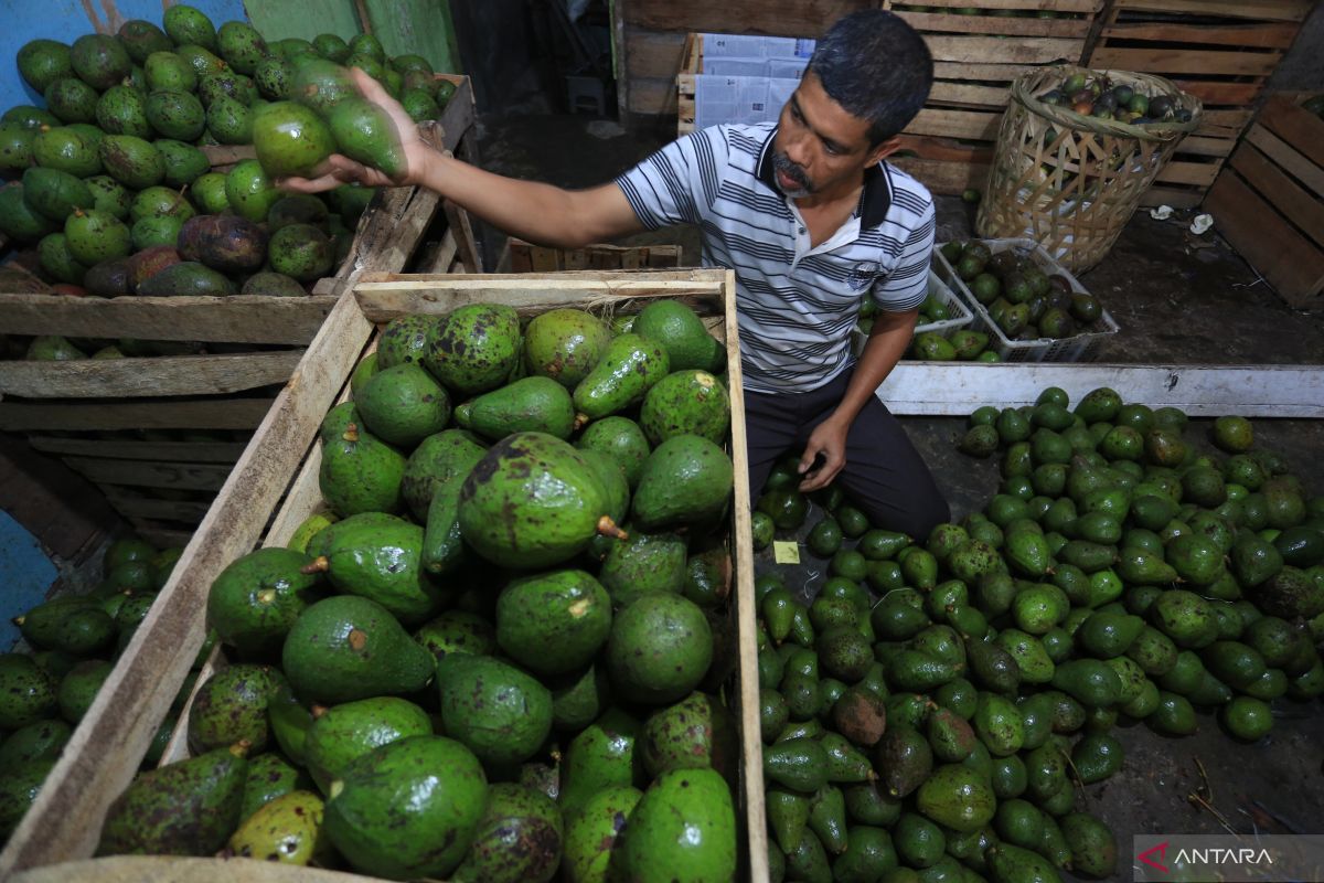 Kementan pastikan ketersediaan dan harga buah tetap stabil